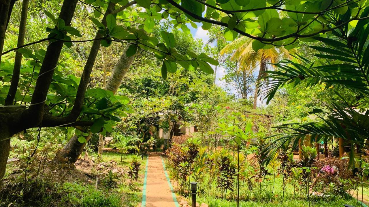 Sigiri Starwing Villa Sigiriya Luaran gambar