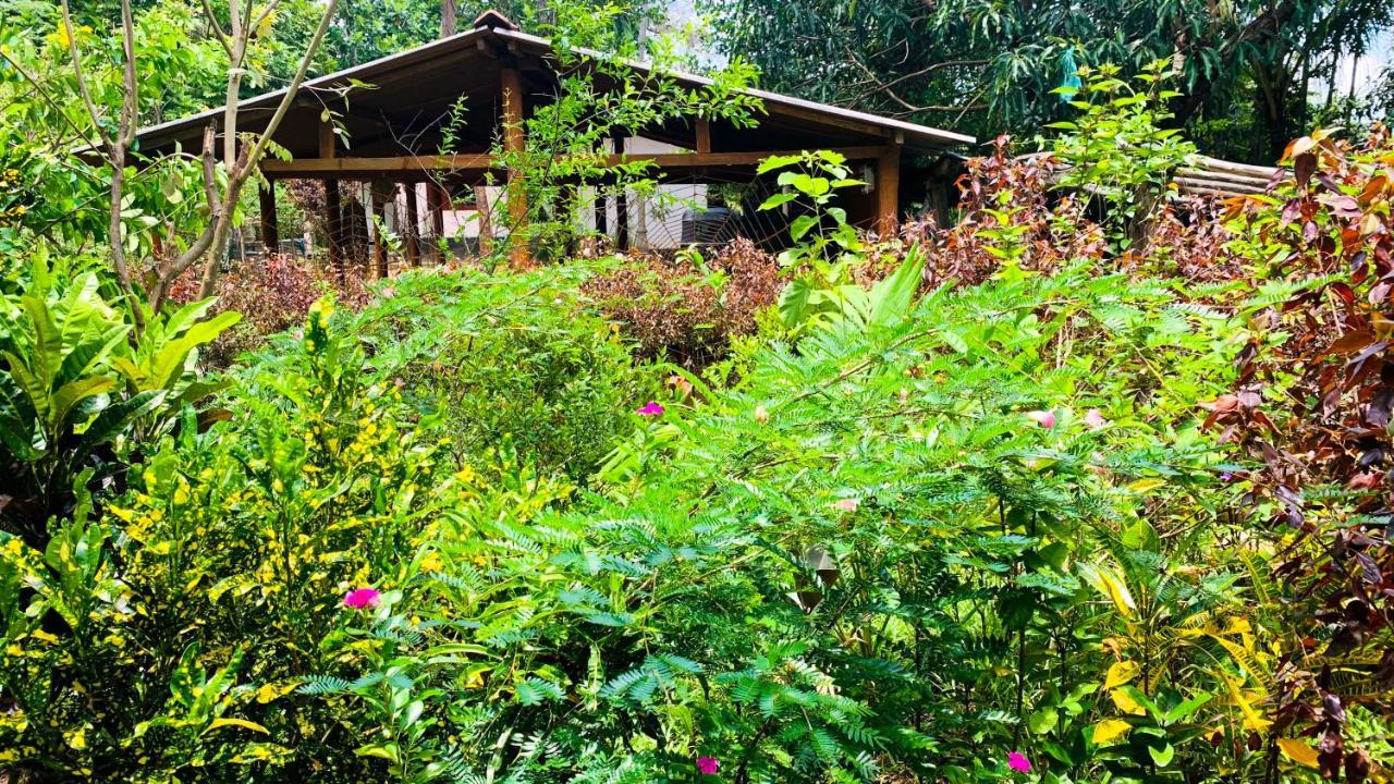 Sigiri Starwing Villa Sigiriya Luaran gambar