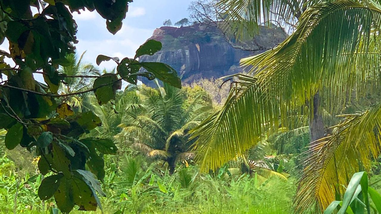 Sigiri Starwing Villa Sigiriya Luaran gambar