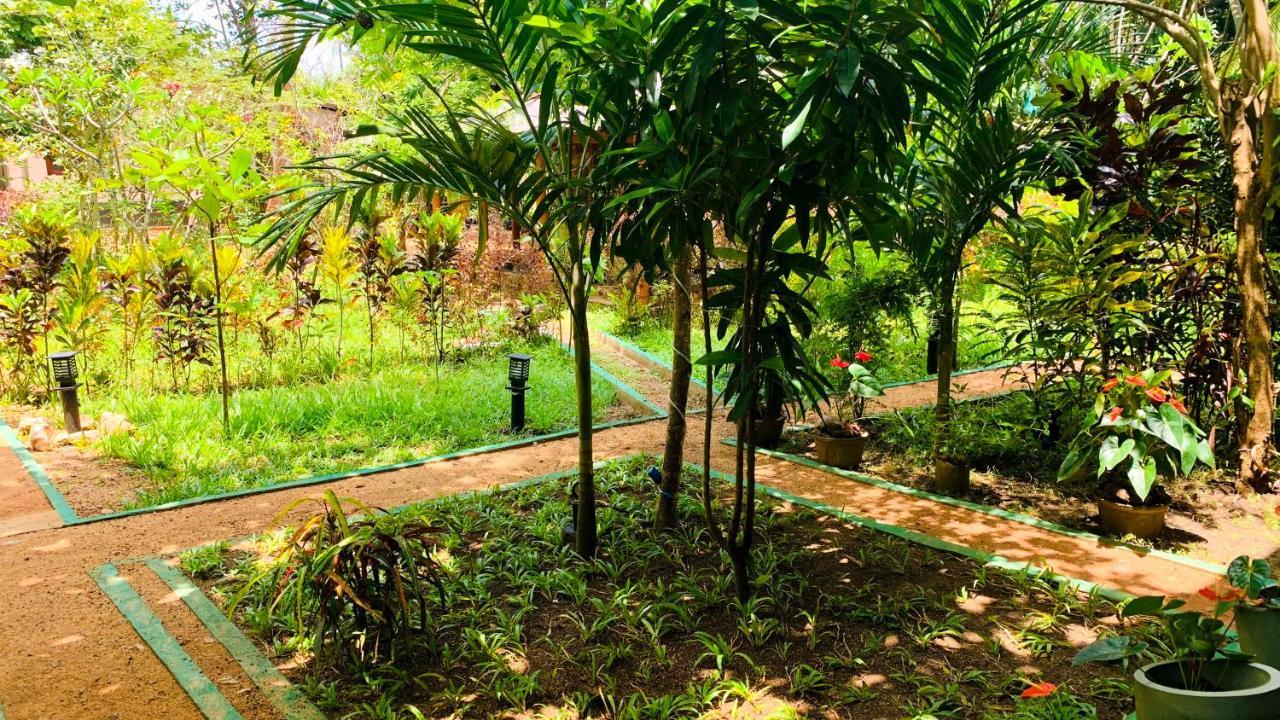 Sigiri Starwing Villa Sigiriya Luaran gambar